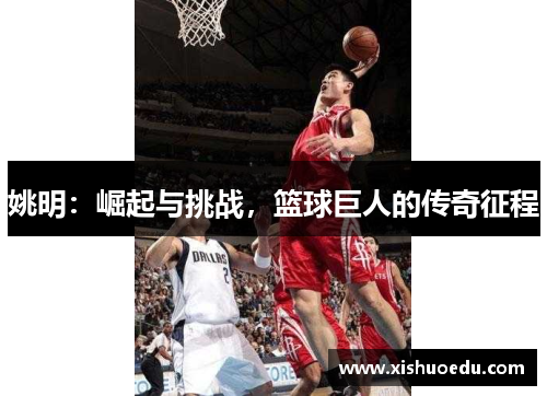 姚明：崛起与挑战，篮球巨人的传奇征程